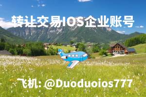 如何合法转让苹果企业账号？完整指南